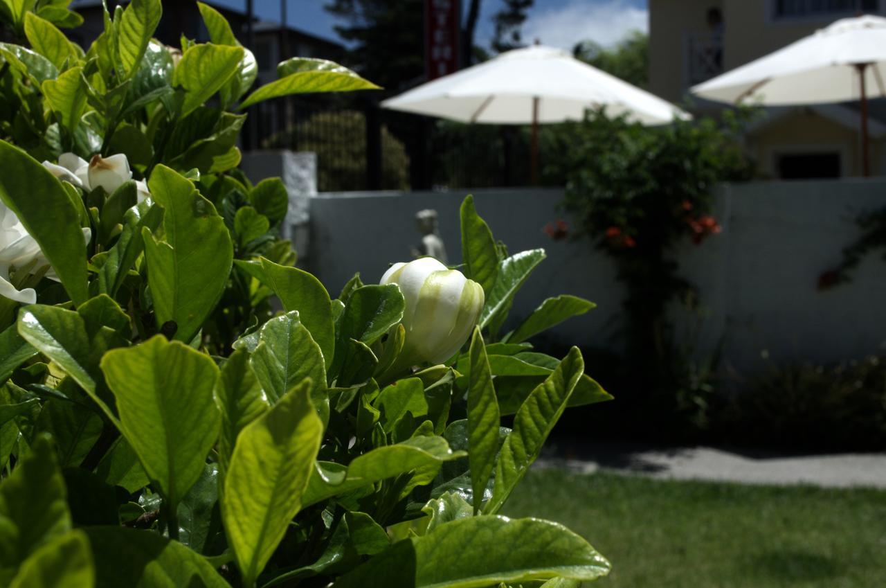 Hosteria Robert Villa Gesell Kültér fotó