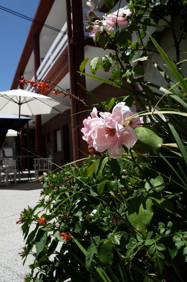Hosteria Robert Villa Gesell Kültér fotó